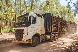 IMG_1551-1